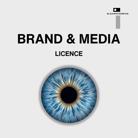 BRAND & MEDIA